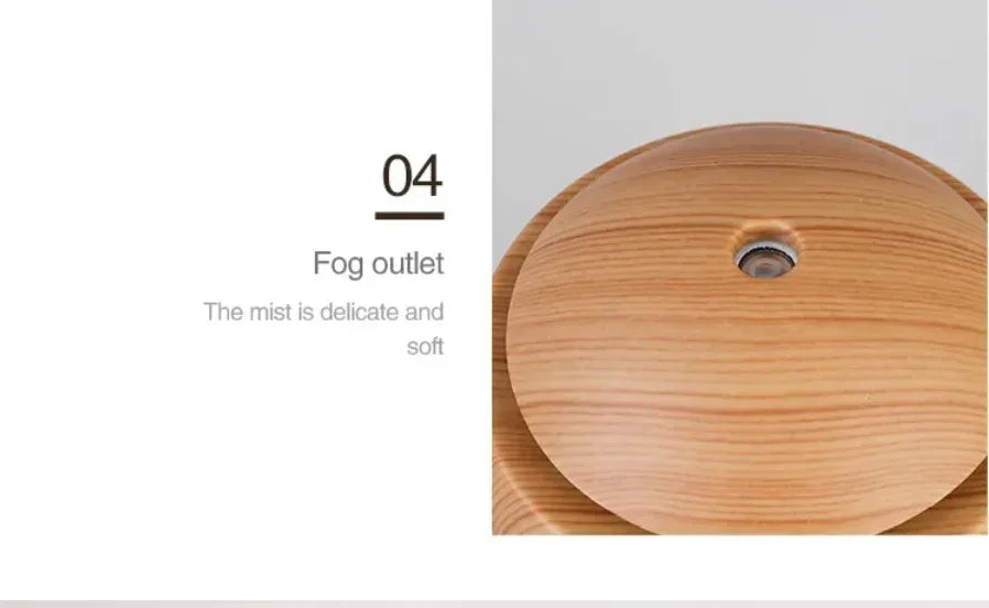 Air Humidifier & Aromatherapy Diffuser